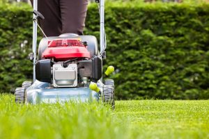 lawn mowing Adelaide