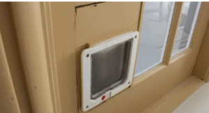 glass panel pet doors