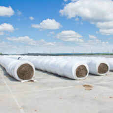 Silage Covers: Reducing Losses and Maximising Yield