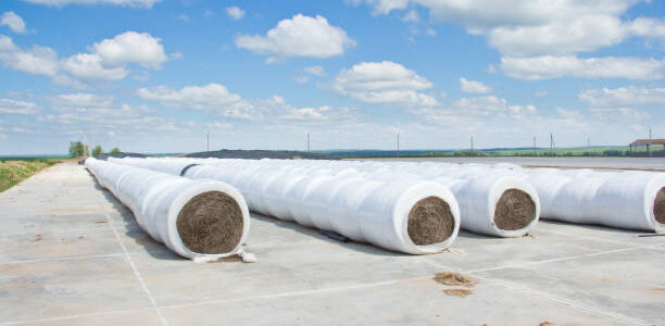 Silage Covers: Reducing Losses and Maximising Yield silage covers