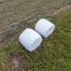 Net Wrap How to Store Net Wrap Properly in Australia’s Varied Climates