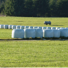 Bale Wrap’ How the Right Bale Wrap Supplier in Australia Can Maximise Feed Quality and Minimise Waste
