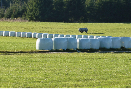 Bale Wrap’ How the Right Bale Wrap Supplier in Australia Can Maximise Feed Quality and Minimise Waste bale wrap