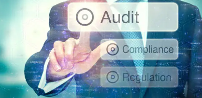 NDIS audit support