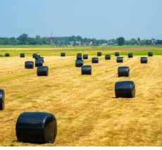 Bale Wrap’ Choosing the Right Option for Australian Farming Conditions