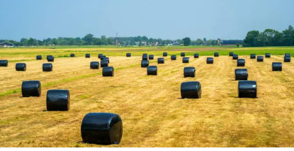 Bale Wrap’ Choosing the Right Option for Australian Farming Conditions bale wrap