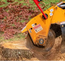 Stump Removal Adelaide Hills’ 6 Reasons Hiring Experts Beats DIY