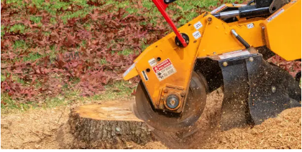 stump removal Adelaide Hills