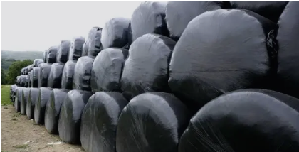 Silage Plastic Australia’ Choosing the Right Film for Harsh Conditions and Maximum Feed Preservation silage plastic