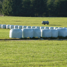 Silage Film Australia’ Choosing the Right Wrap for High-Yield Fodder Preservation