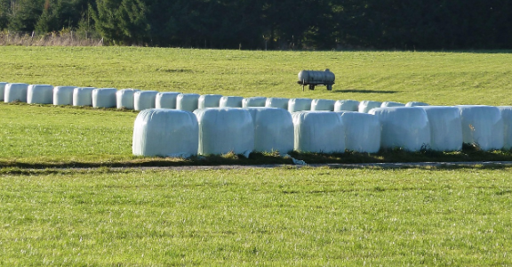 Silage Film Australia’ Choosing the Right Wrap for High-Yield Fodder Preservation silage film